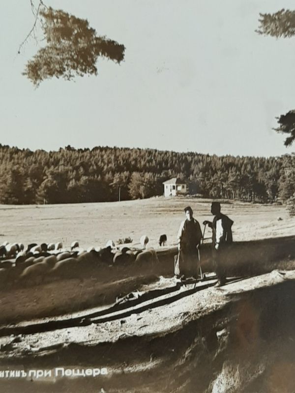 Саркастично-садистично от платената тролска организация "Пещерски уличен фейсбук"