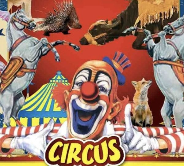 В Пещера-страстна обич между ГЕРБ и ДПС