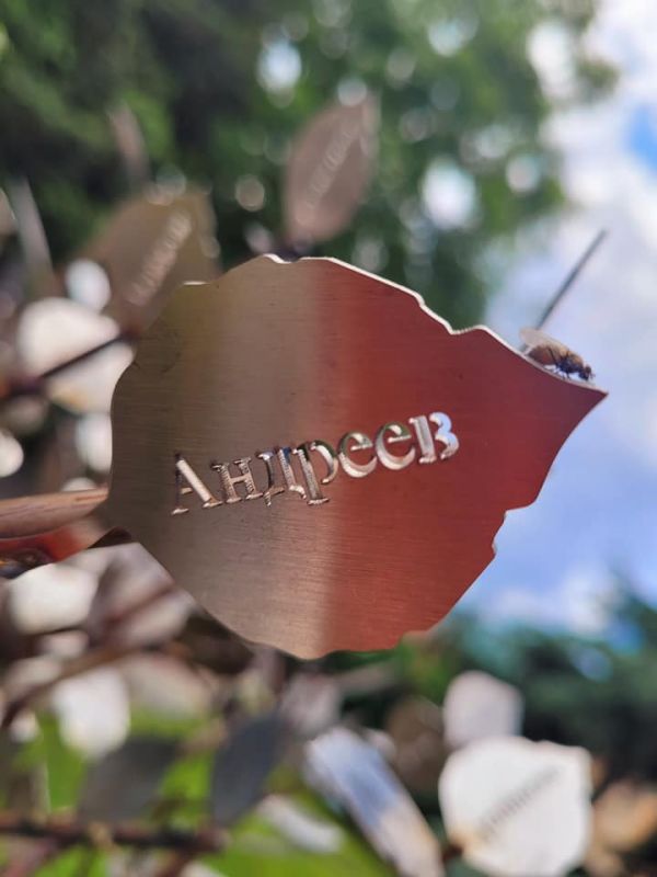 Единствено в България: Родово дърво с всички местни фамилии поставиха в Пещера